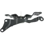 Rear Spring