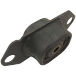 Rear Spring