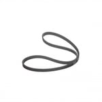 Compressor Belt