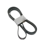 Fan & Alternator Belt