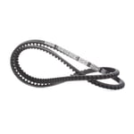 Engine Belt