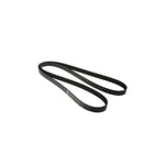 Engine Belt