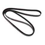 Engine Belt