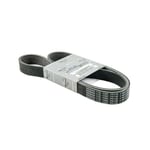 Engine Belt