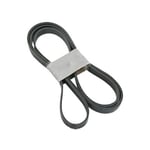 Serpentine Belt