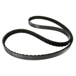 Dynamo Belt