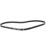 Compressor Belt