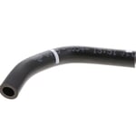 Vapor Hose