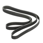 Compressor Belt