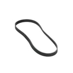 Dynamo Belt
