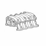 Manifold intake