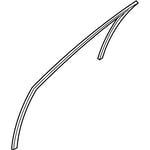 Right Front Door Seal