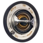 Thermostat Valve