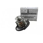 Thermostat Valve