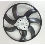 Radiator Fan