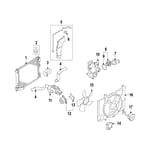 Upper Radiator Hose