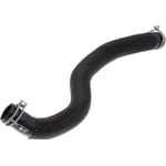 Lower Radiator Hose
