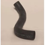 Lower Radiator Hose