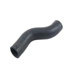 Lower Radiator Hose