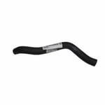 Hose-Lower