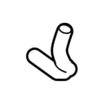Lower Radiator Hose