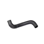 Lower Radiator Hose