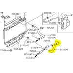 Lower Radiator Hose