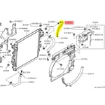 Radiator Reservoir Hose