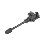 Ignition Coil Assembly
