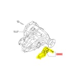 Differential Dynamo