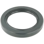 Rear Spring