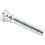 Caliper Bolt