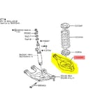 Rear Lower Control Arm