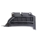 Right Fog Light Cover