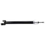 WEATHERSTRIP Front Door LH