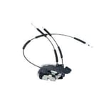 Lock & Remote Control Assembly-Rear Door, RH