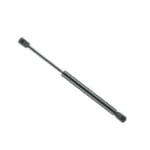 Right Trunk Strut