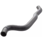 Hot Water Hose