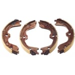 Rear Brake Shoes