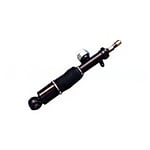 Rear Left Shock Absorber