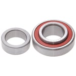 Rear Wheel Bearing