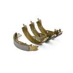 Rear Brake Shoes