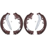 Rear Brake Shoes