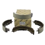Rear Brake Shoes