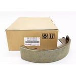 Rear Brake Shoes