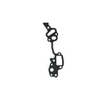 GASKET, TIMING GEAR OR CHAIN COVER