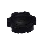 CAP ASSY, OIL FILLER