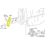 Oil Pump Chain