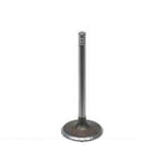 Engine Valves
