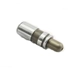 Valve Lifters Set